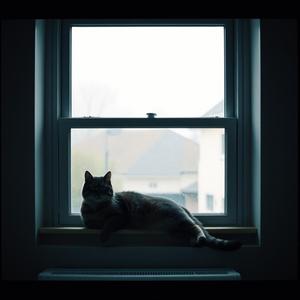 雨夜のささやき (Whispers of a Rainy Night)