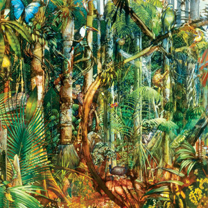 Forest Music (Anambra Na-Imo)