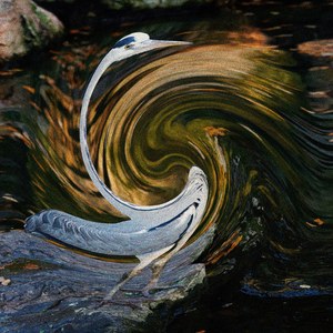 Striped Callipered