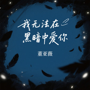 我无法在黑暗中爱你