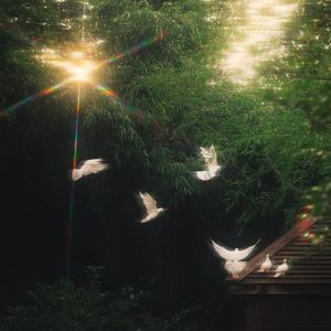 "爱与遗忘" 连麻 x BOBBYNOPEACE x Rod Wave Type Beat