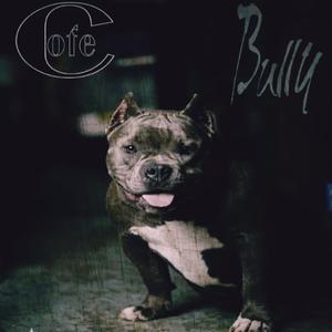 Bully
