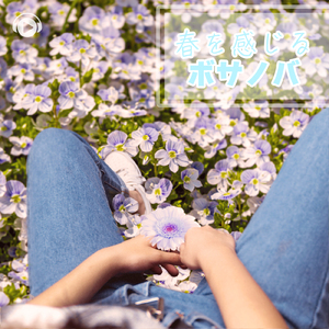 Cyclamen (feat. therapon)