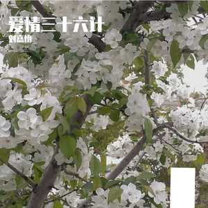 甜蜜的伤口(原唱 山野(李昊瀚))