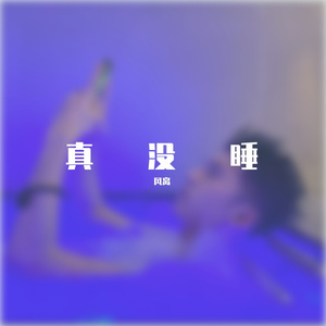 真没睡