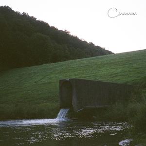 Cinnamon