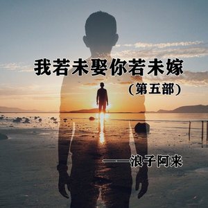 我若未娶你若未嫁 (第五部)