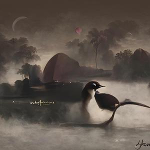 Fading Twilight at the End of Life Fi