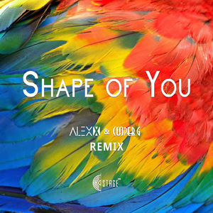 Ed Sheeran - Shape of You (Alex x & Cooper.G Remix)