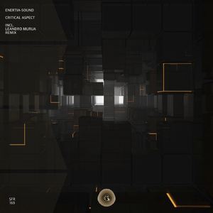 Critical Aspect (Leandro Murua Remix)