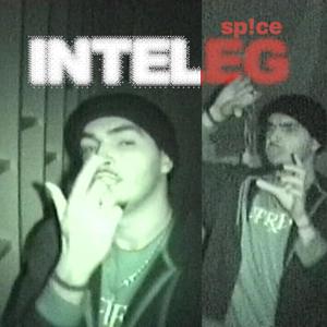 INTELEG