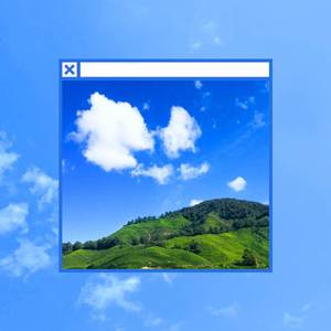 about:blank