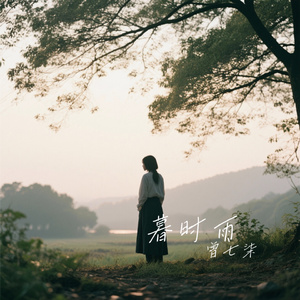 暮时雨
