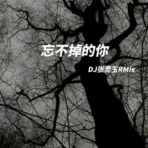 忘不掉的你