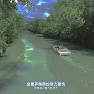 纯真情愫里的岁月流光