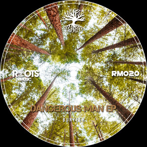 Switch's Grooves (Original Mix)