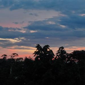 这一生关于你的风景