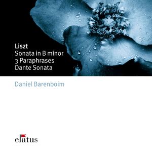 Paraphrase de concert sur Rigoletto, S. 434