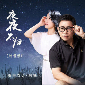 夜夜不归 (对唱版)