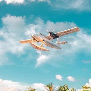 看透还配合的爱情