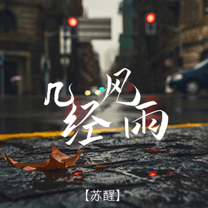 几经风雨