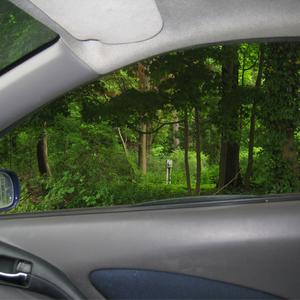 Pitbull (Mixed Matches Remix)