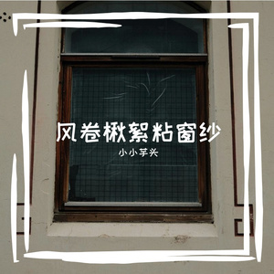戳敲犊朴