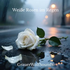 Weiße Rosen im Regen