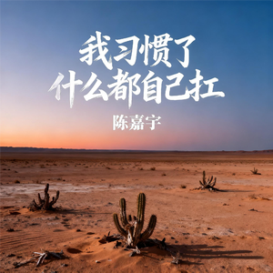 我习惯了什么都自己扛