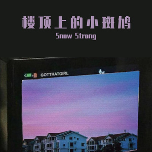 楼顶上的小斑鸠（cover队长）