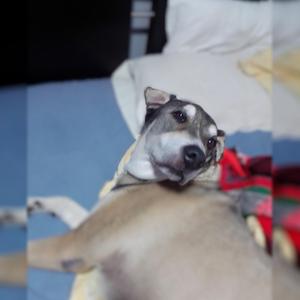 Por mi no se preocupen