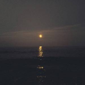 你算什么东西？骗 子 罢 了 。