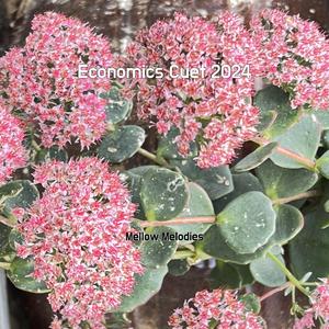 Head Bone Tumor Malayalam