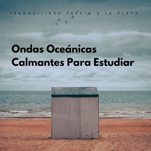 Conocedor De Caracolas
