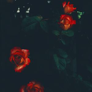 迷情剂.Amortentia(prod by Lee) 伴奏
