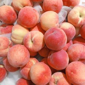 三年二班(Live)_纯绪°