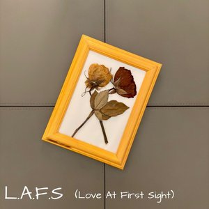 L.A.F.S (Love At First Sight)