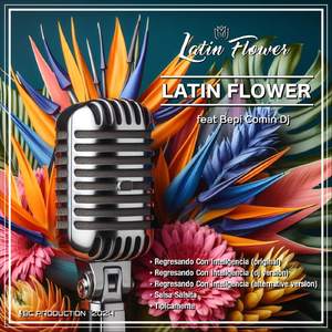 Tipicamente (feat. Bepi Comin' DJ, Mirco DJ, Virgin DJ, Miki DJ, Rino DJ & Dany DJ)
