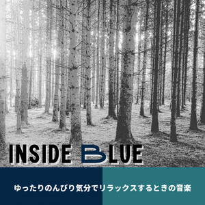 Starlight Camaraderie