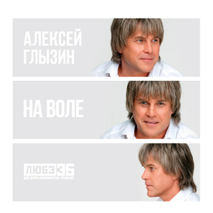 На воле (Любэ 35. Всё опять начинается. Трибьют)