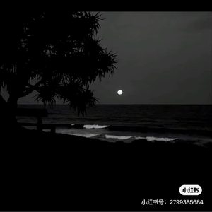 有谁懂我的难过