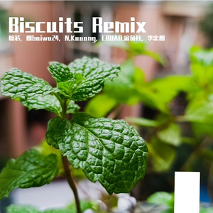 Biscuits Remix