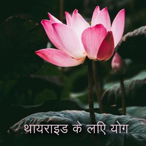 सुंदर प्रकृति