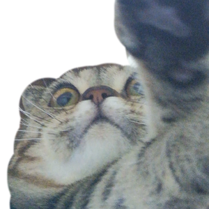 魔法戀愛漫畫書 （Prod.IOF x King Theta）