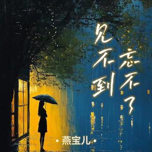 见不到忘不了 (DJ阿本版)