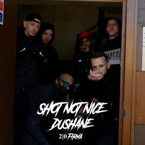 DUSHANE