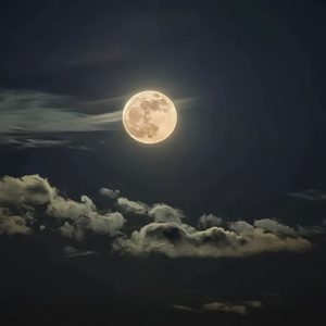 请允许我成为你的月亮