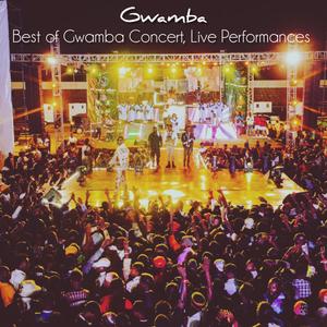 Zimuvuta Live (Best of Gwamba Concert) (feat. Tidacase, Bee Jay & Ace Jizzy) (Live)