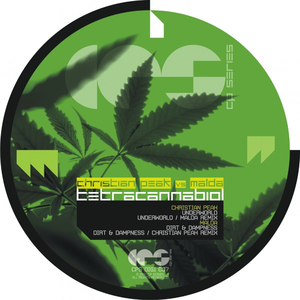 Dirt & Dampness (Original Mix)