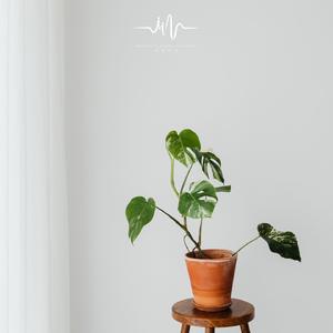 一杯清茶 (催眠曲)